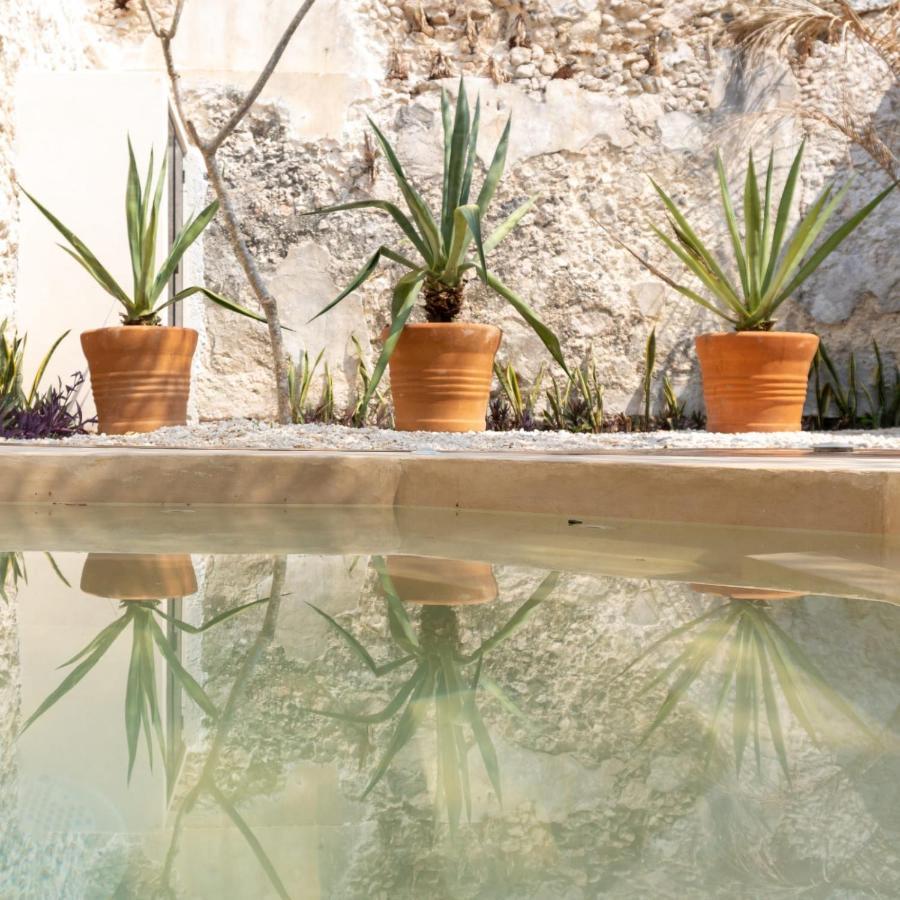 Casa Nicte, Hospedate En Una Casa Del Siglo XVIII Campeche Ngoại thất bức ảnh